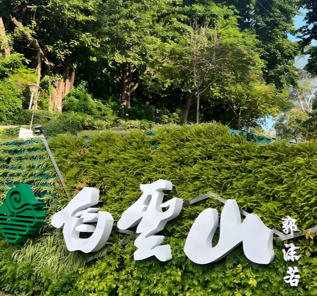 693cd4a0cd365.png image.png